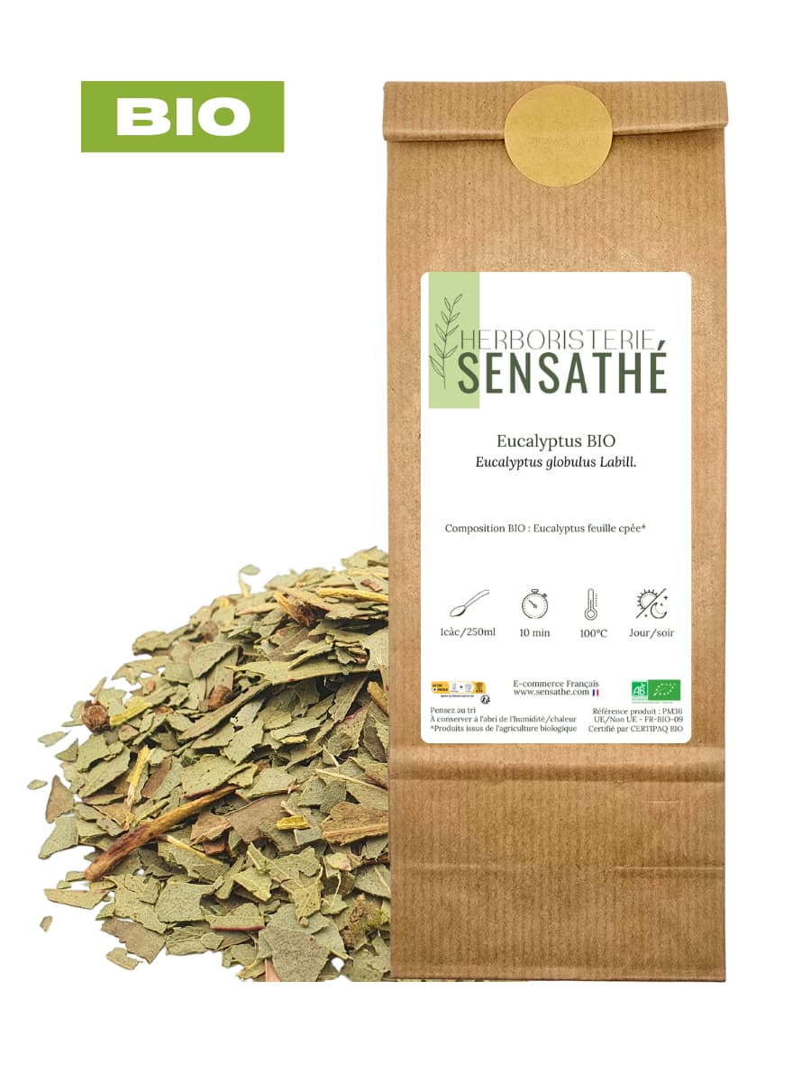 Eucalyptus BIO en vrac - plante médicinale